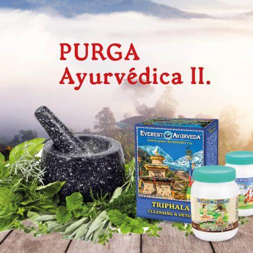 purga ayurvédica